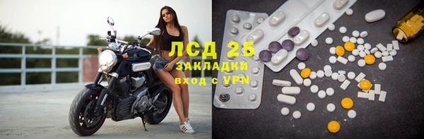 индика Алексин