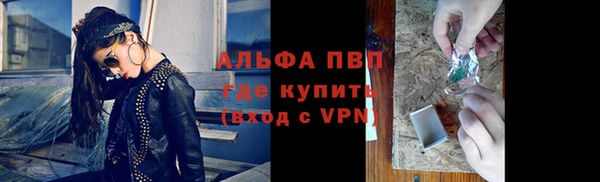 индика Алексин