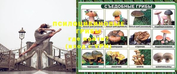 индика Алексин