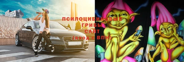индика Алексин