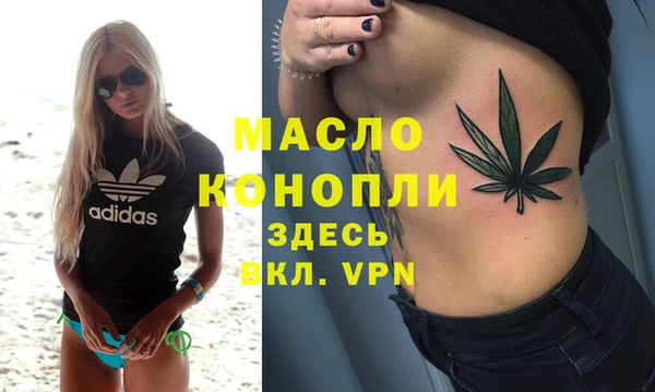 индика Алексин