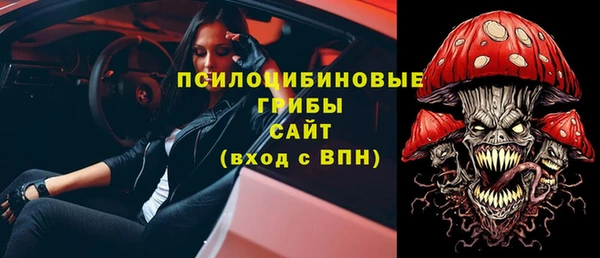 индика Алексин