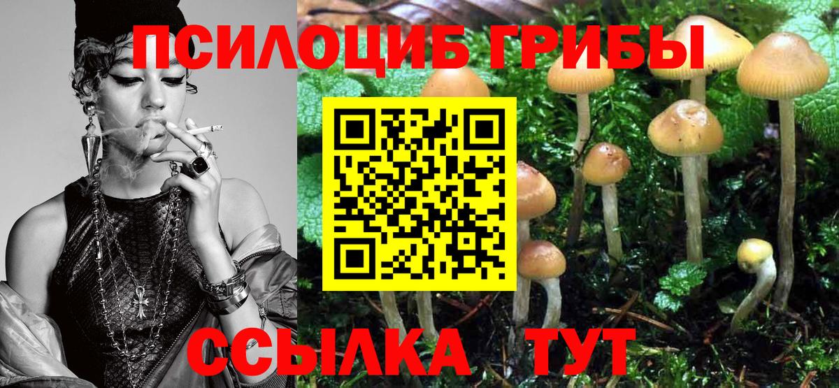 Псилоцибиновые грибы GOLDEN TEACHER Карабулак