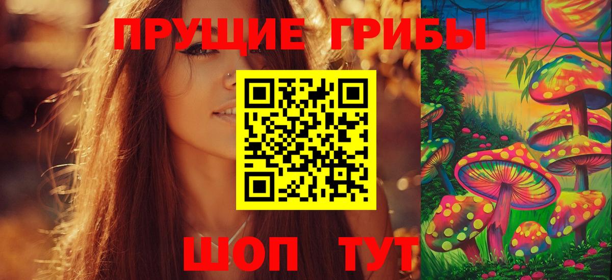Галлюциногенные грибы Psilocybine cubensis  Вход с VPN  Псилоцибиновые грибы Psilocybe  Карабулак 